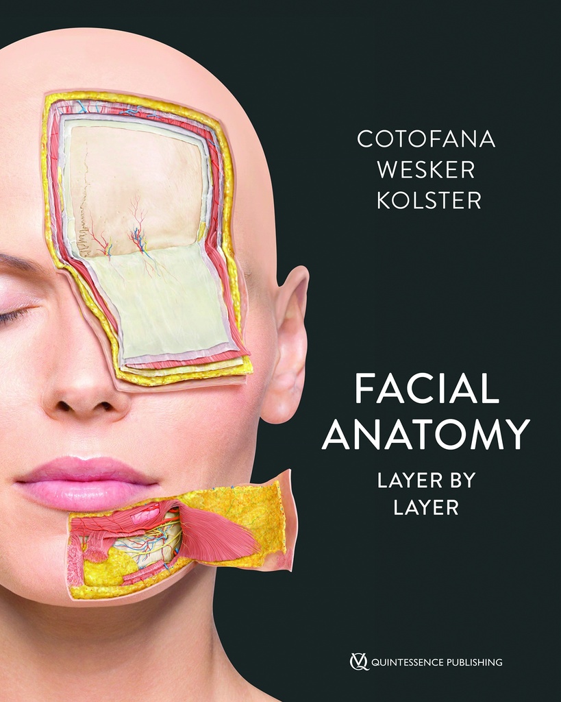 Facial Anatomy Layer by Layer