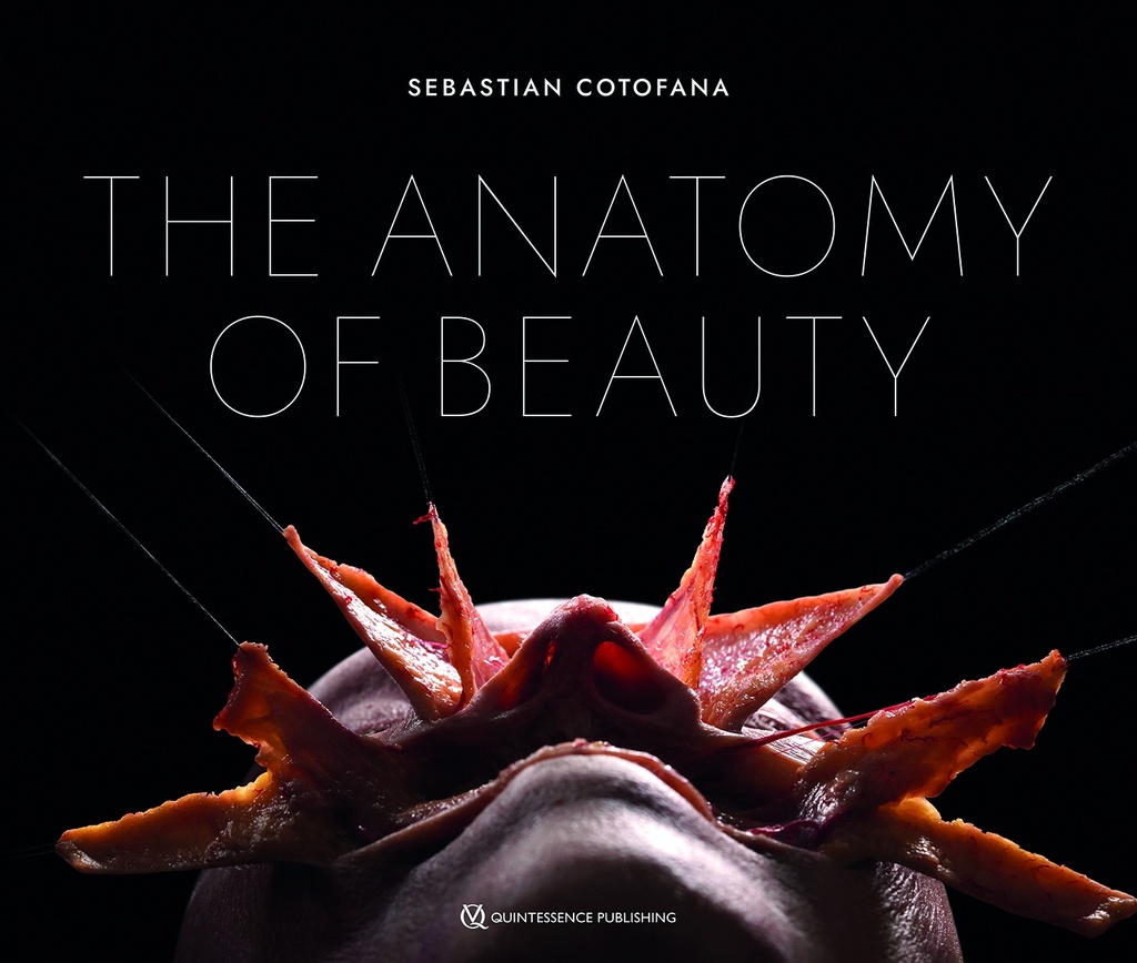 The Anatomy of Beauty